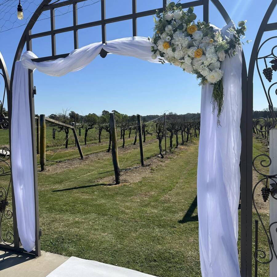 461430362_513638968085372_7003000971837465628_n